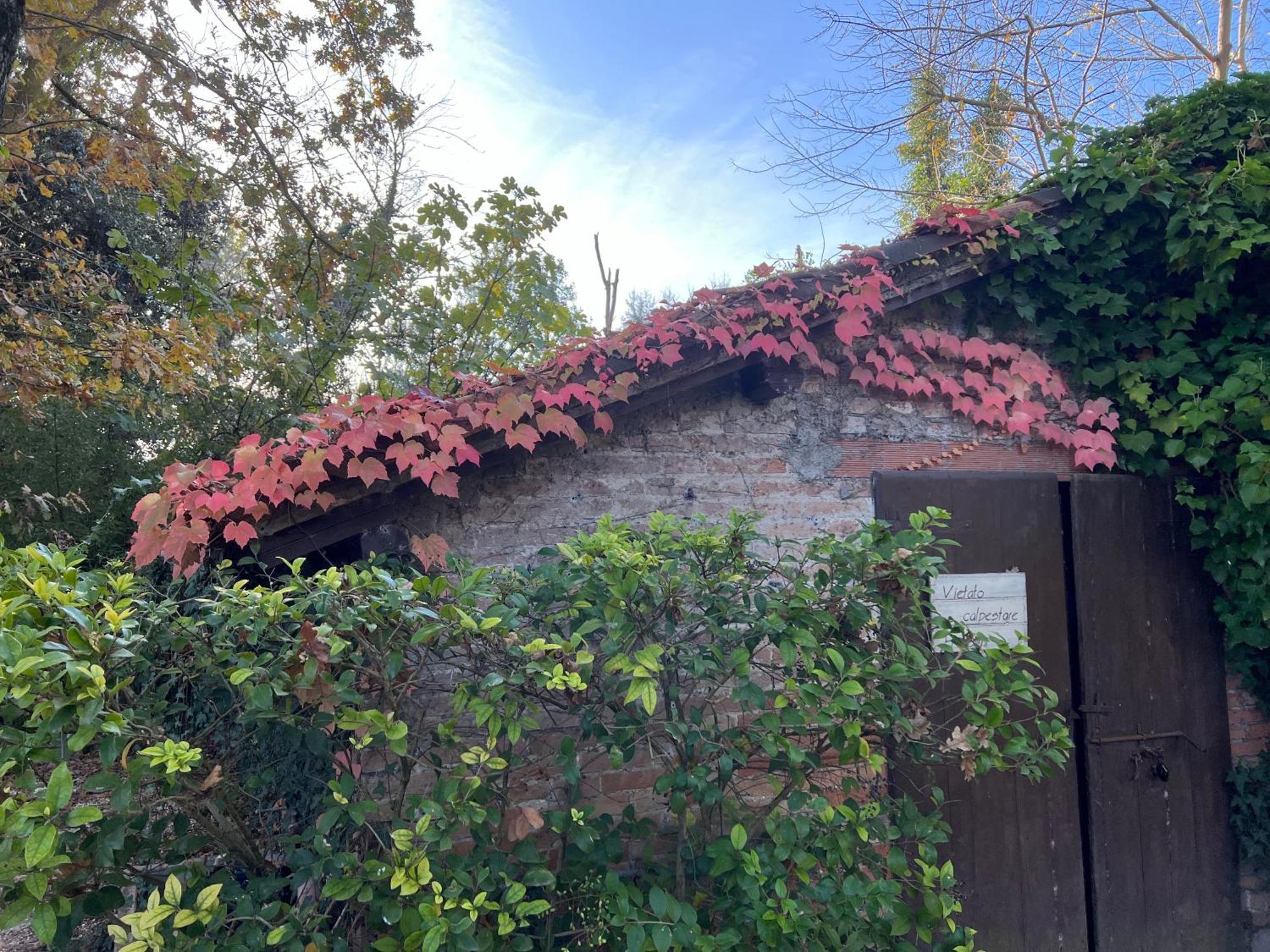 Casa Delle Meridiane Ravenna Buitenkant foto